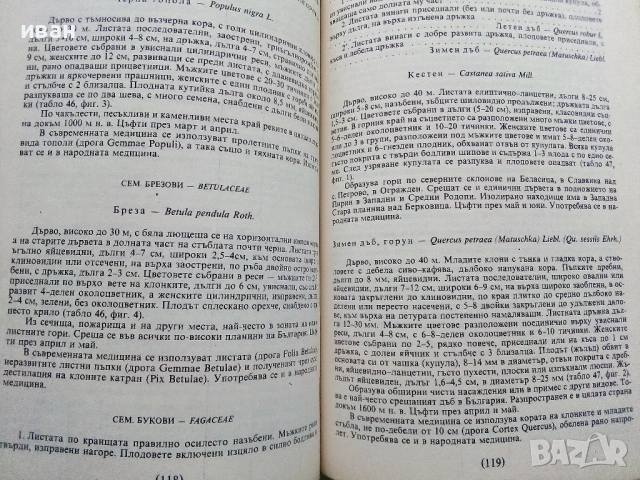 Разпознаване и събиране на билки - Борис Китанов - 1987г., снимка 5 - Енциклопедии, справочници - 53281460