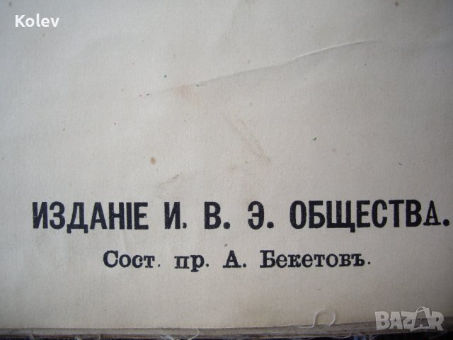 1881 Голям руски албум с цветни страници, снимка 5 - Антикварни и старинни предмети - 37618970