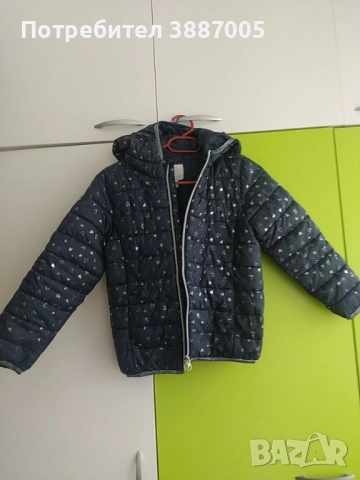 Олекотено яке