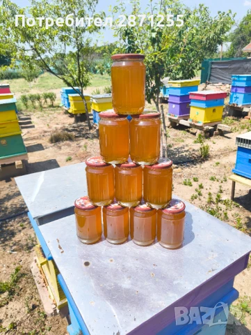 Натурален пчелен мед 2025