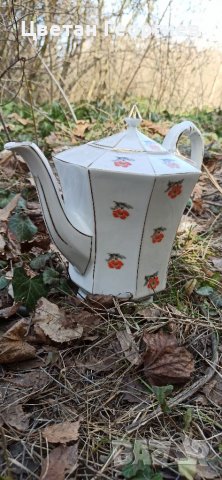 Кана, снимка 2 - Кани - 39857784