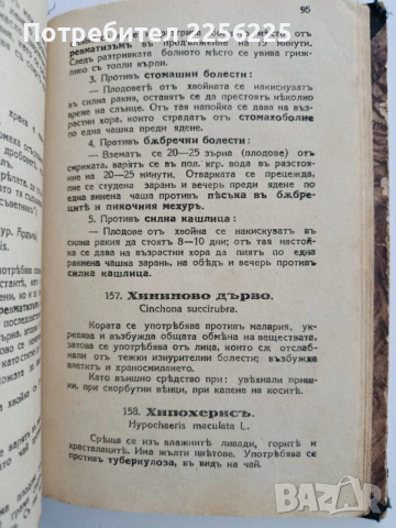 Лекуване с билки 1932г, снимка 6 - Специализирана литература - 52443423