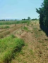 Продавам парцел в Миродато/Гърция, снимка 9