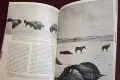 The Custer Album. A Pictorial Biography of General George A. Custer, снимка 11