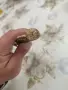 Царски пилотски кортик!, снимка 4