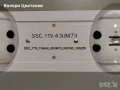 LG 43UM7450PLA на части  EAX68253605(1.1) / EAX68304101(1.7) /SSC_Y19_43UM73 / SSC_Y19_Trident_43M73, снимка 14