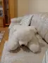 ПЛЮШЕНА ИГРАЧКА ГОЛЯМА МЕЧКА, снимка 17
