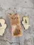 Голяма стара дървена маска, снимка 6