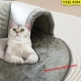 Плюшено легло с тунел за котки - КОД 4594, снимка 2