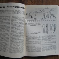 Списание Природознание - брой 2, 1974 г., снимка 6 - Списания и комикси - 31225957