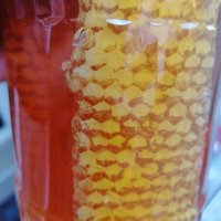 Пчелен мед с восък, снимка 2 - Пчелни продукти - 33895079