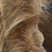 Кафява жилетка с естествен косъм, снимка 4 - Жилетки - 30260987