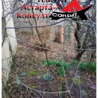 Астарта-Х Консулт продава къща в с.Оряхово общ. Любимец, снимка 5 - Къщи - 37025351