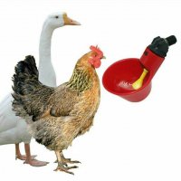 Поилки за малки пилета и кокошки, снимка 2 - други­ - 31623818