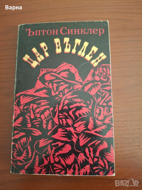 Книга Цар Въглен, снимка 1