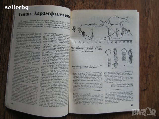 Списание Природознание - брой 2, 1974 г., снимка 6 - Списания и комикси - 31225957