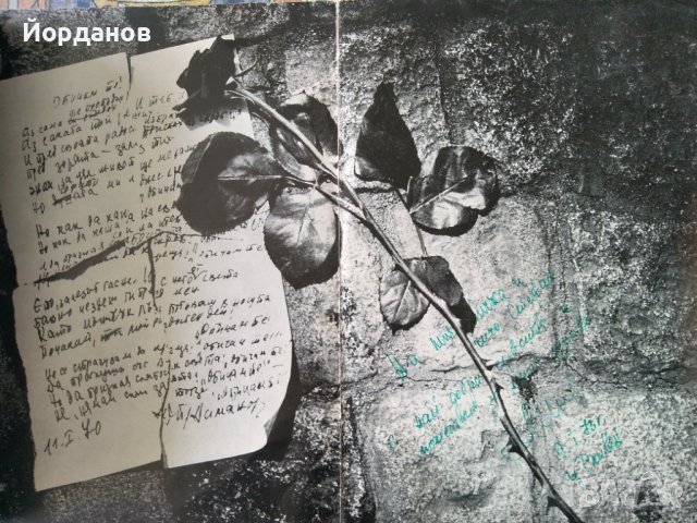 Автограф с послание от Лили Иванова върху грамофонните плочи от белият албум, снимка 5 - Грамофонни плочи - 37123921