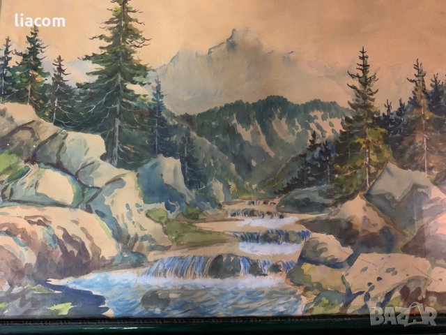 ИВАН ЦВЕТКОВ, снимка 1