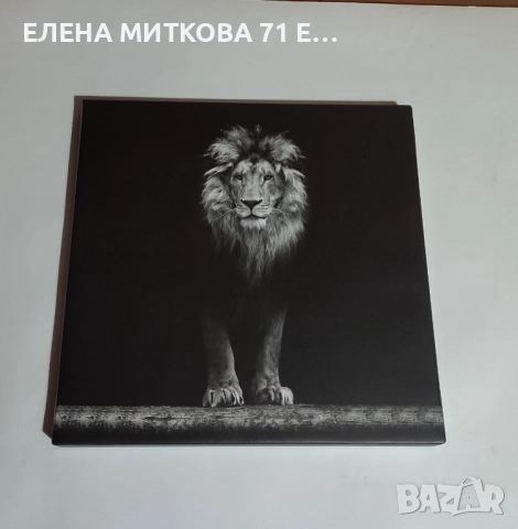 Картина черно-бял принт върху полиестерно платно в дървена подрамка