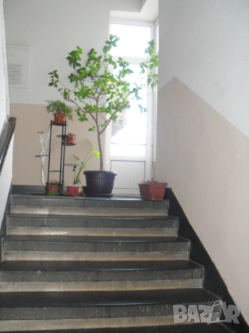 От Собственик Уникален 4 стаен апартамент Топ Център на София, снимка 3 - Апартаменти - 52052851