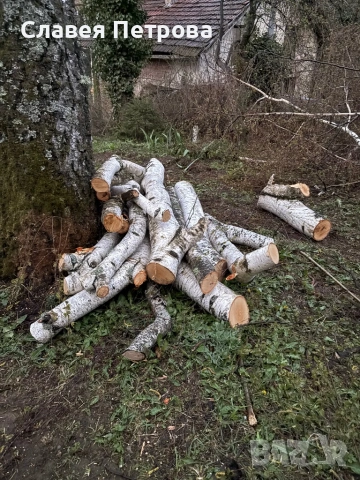 Безплатно дърва, снимка 2 - Дърва за огрев - 54242610