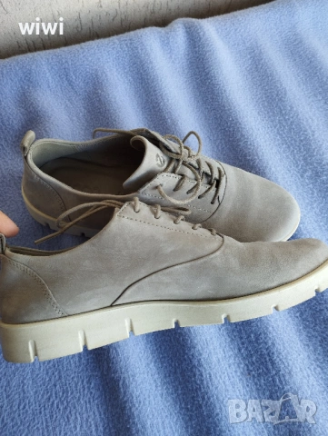 Ecco и ecco coretex номер 37.