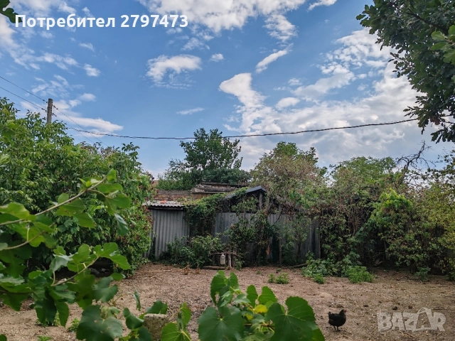 Къща в гр. Николаево от собственик, снимка 6 - Къщи - 51741832