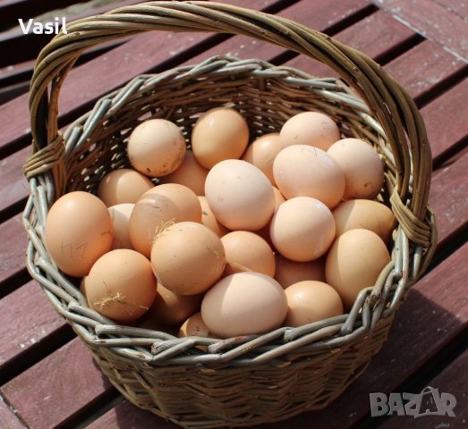 Домашни яйца от свободно отглеждани кокошки, снимка 1 - Домашни продукти - 38657620