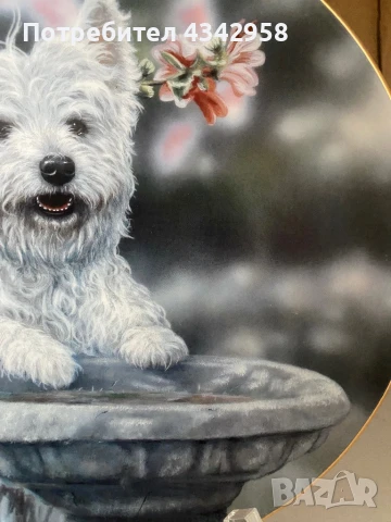 Колекционерска чиния от серия “ Westies “, снимка 3 - Антикварни и старинни предмети - 50811200