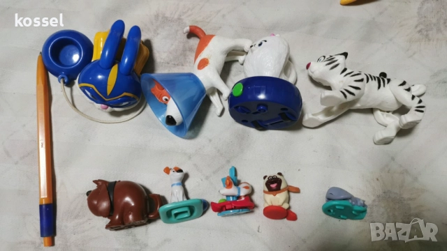 Сами в къщи