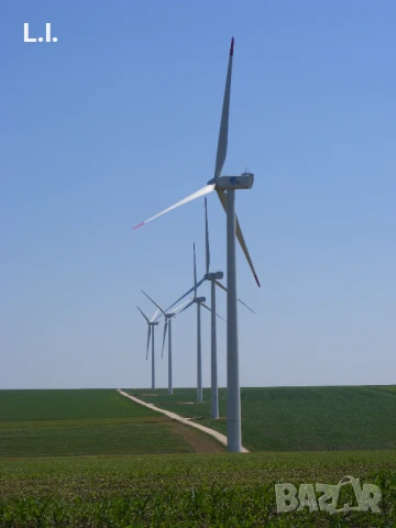 Земеделска земя  30 декара, Суворово/Вълчи Дол , снимка 3 - Земеделска земя - 51201201