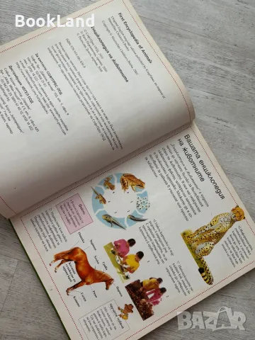 Енциклопедия на животните, Софтпрес, снимка 6 - Детски книжки - 49267308