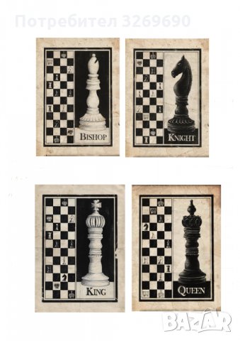 Шах постер плакат цар царица