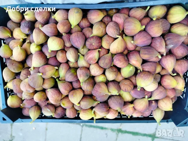 Смокини и сливи 