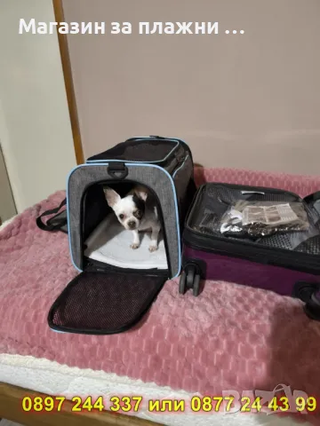 Транспортна чанта за куче/котка - КОД 4328, снимка 6 - Други стоки за животни - 49214303