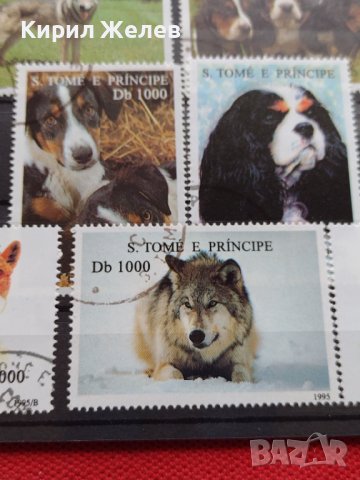 Пощенски марки чиста комплектна серия ЖИВОТНИ Кучета 1995г. за колекционери - 22031, снимка 8 - Филателия - 36641550