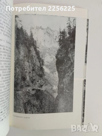 Пътеводител - Родопи, снимка 4 - Енциклопедии, справочници - 51171791