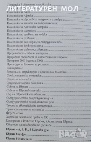 Европа от А до Я. Вернер Вайденфелд, Волфганг Веселс, 2004г., снимка 3 - Ученически пособия, канцеларски материали - 31096405