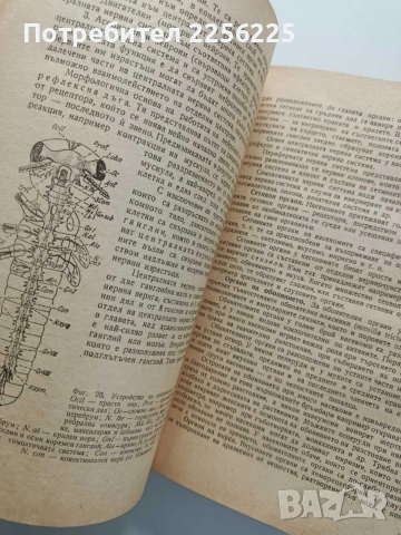 Ентомология, снимка 2 - Специализирана литература - 54087443