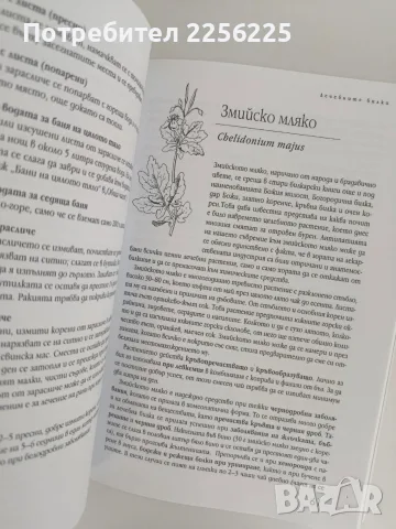 Здраве от аптеката на Господ, снимка 10 - Специализирана литература - 56070583