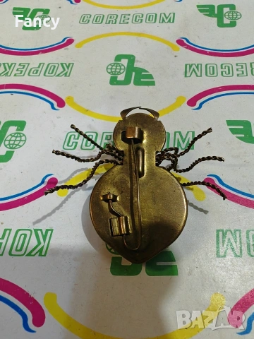 Брошка от индийски ахат , снимка 5 - Други - 53358610