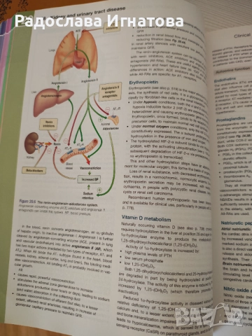 Clinical medicine 9th edition , снимка 8 - Специализирана литература - 51798534