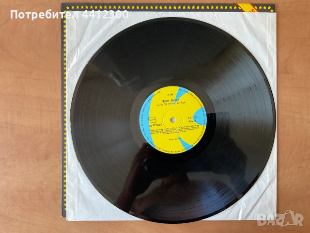 Грамофонна плоча 12”, снимка 3 - Грамофонни плочи - 51515923