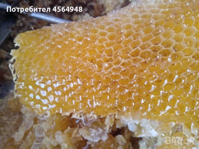Пчелен мед от Странджа 7,00 лева за 1 килограм в буркан , снимка 11 - За пчели - 51369721