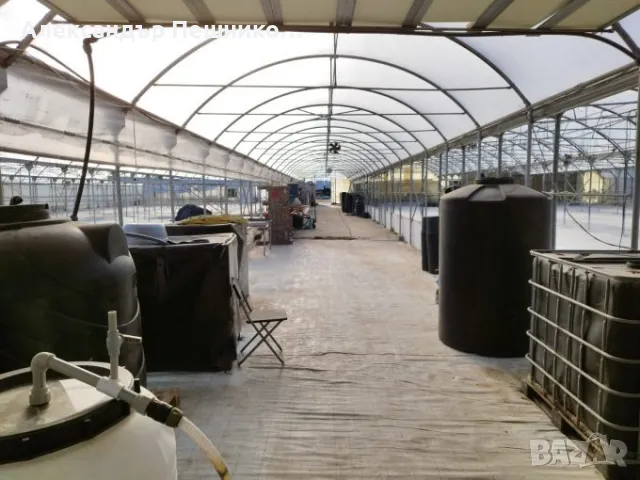 Продава оборудвана оранжерия, гр.Сандански, снимка 9 - Оранжерии - 48527851