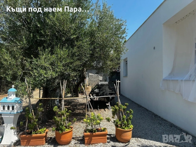 Вила “Four olives” под наем , Паралия Офринио, снимка 10 - Почивки в Гърция - 53963523