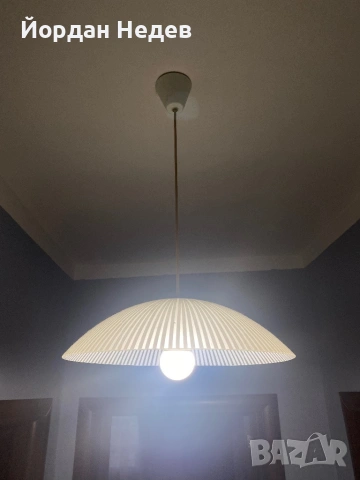 Полилей, снимка 3 - Полилеи - 53176774