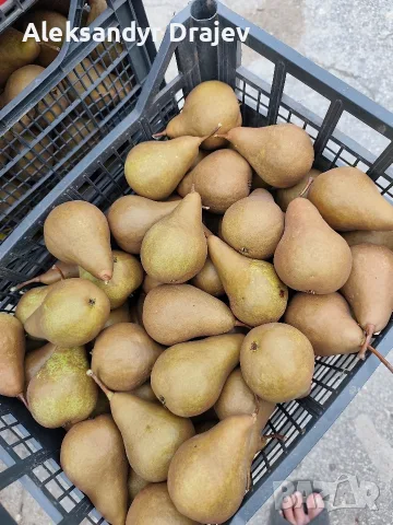 Круши, Ябълки,Мед и Сокове , снимка 2 - Домашни продукти - 56258345