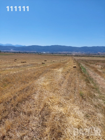 Продавам бали слама , снимка 13 - За селскостопански - 51257470