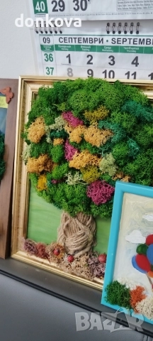 декорации ръчно изработени от жив скандинавски мъх и сапунени рози., снимка 16 - Декорация за дома - 52206005